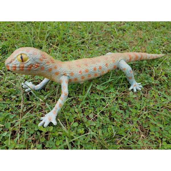 Гекон блакитний 40 cm (см) Гекон блакитний 40 cm (см)