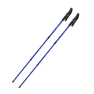 Палка для скандинавської ходьби Energia EasyFit EF-3924-BL синя