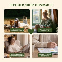 Книга "Зайняток" 0045MG понад 100 завдань
