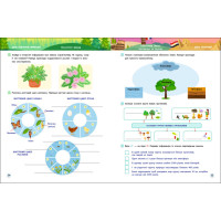 Навчальний збірник SMARTліто "Іду в 7 клас" АРТ24706 96 сторінок