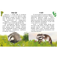 Читаю про Україну по складах "Тварини лісів" 366023 з кольоровими ілюстраціями
