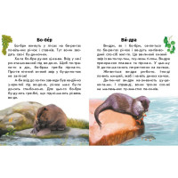 Читаю про Україну по складах "Тварини річок та морів" 366024 з кольоровими ілюстраціями