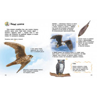 Енциклопедія дошкільника Птахи 614032 для найменших