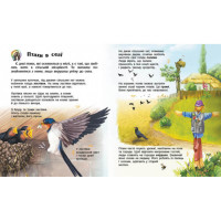 Енциклопедія дошкільника Птахи 614032 для найменших