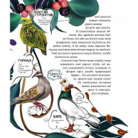 Дитяча книга "Такі як ми. Про тварин та їхні характери" 253615