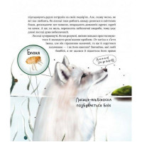 Дитяча книга "Такі як ми. Про тварин та їхні характери" 253615
