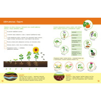 Дитяча книжка "Школа Кенгуру. Пізнаємо світ" III крок 1917003