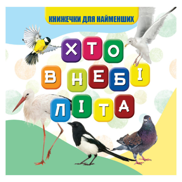 Моя перша книжечка Хто в небі літає VR06041708 10 сторінок