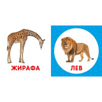Перша книжка малюка "Дикі тварини" 165048 картон 12 сторінок
