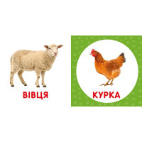 Перша книжка малюка "Свійські тварини" 165050 картон 12 сторінок Перша книжка малюка "Свійські тварини" 165050 картон 12 сторінок