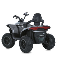 Дитячий квадроцикл-толокар 3 в 1 M 6222EBLRS-11 до 23 кг
