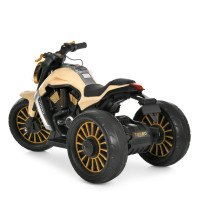 Дитячий електромобіль Мотоцикл M 5048EL-13 до 30 кг