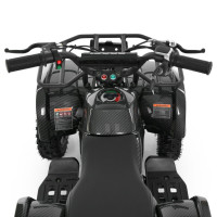 Дитячий електромобіль Квадроцикл HB-EATV1000N-19 до 65 кг