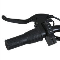 Дитячий електромобіль Мотоцикл M 6016AL-4(36V) до 80 кг