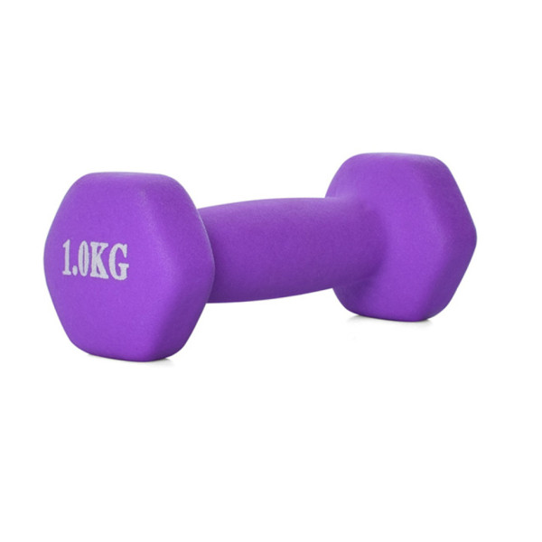 Гантель неопренова MS0109-1 у пакеті 1 кг Фіолетовий