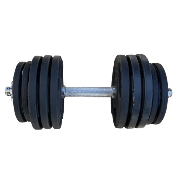 Гантель набірна металева Home Profi TI-968-21 21 кг