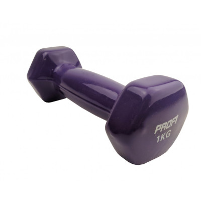 Гантель з вініловим покриттям M 0289 1кг Фіолетовий