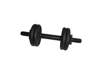 Гантель складальна лита 45 кг NE-300-GP005