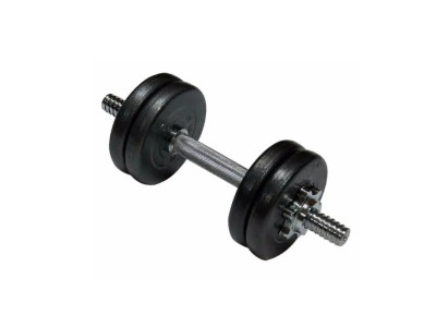 Гантель складальна лита 1шт 10 кг TI-968-747