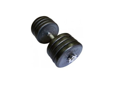 Гантель складальна Home 42 кг TI-968-745-42-1