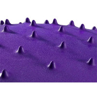 Масажний м'яч для фітнесу EasyFit EF-3015-V 65 см фіолетовий