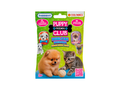 Фігурка-сюрприз "Няв-гав команда" PC062 1х1х2 см серія "Puppy Club" Фігурка-сюрприз "Няв-гав команда" PC062 1х1х2 см серія "Puppy Club"
