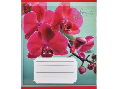Зошит учнівський "Орхідеї" 018-530261K-5 в клітинку 18 аркушів