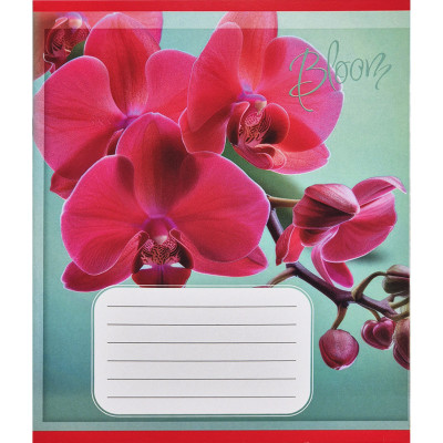 Зошит учнівський "Орхідеї" 018-530261K-5 в клітинку 18 аркушів