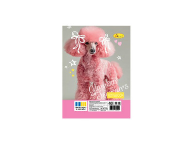 Блокнот А6 АП-1710-9 40 аркушів пружина збоку