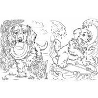 Велика книга розмальовок Коти та собаки 1736021 64 сторінки