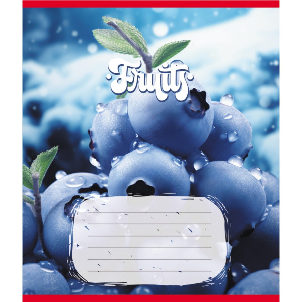 Зошит учнівський "Фрукти" 012-500028K-2 в клітинку 12 аркушів (959050)