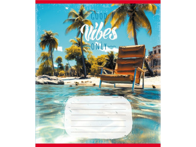 Зошит учнівський "Вайб" 024-550429K-4 в клітинку 24 аркуші