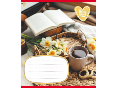 Зошит учнівський "Домашній затишок" 018-540253L-4 в лінію 18 аркушів