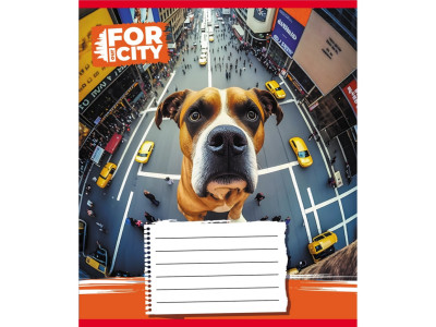 Зошит учнівський "Собака в місті" 024-560077L-4 в лінію 24 аркуші