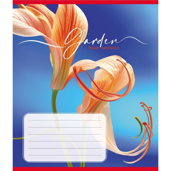 Зошит учнівський "Естетика" 024-550443K-1 в клітинку 24 аркуші