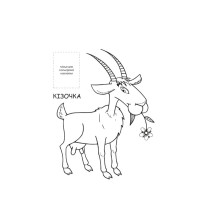 Розмальовка для малюків "Ферма" Книжковий Небоскреб 403877 Розмальовка для малюків "Ферма" Книжковий Небоскреб 403877