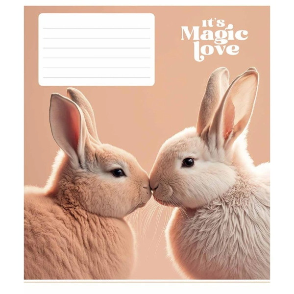 Зошит учнівський "Its a magic love" 012-3300L-3 в лінію 12 аркушів