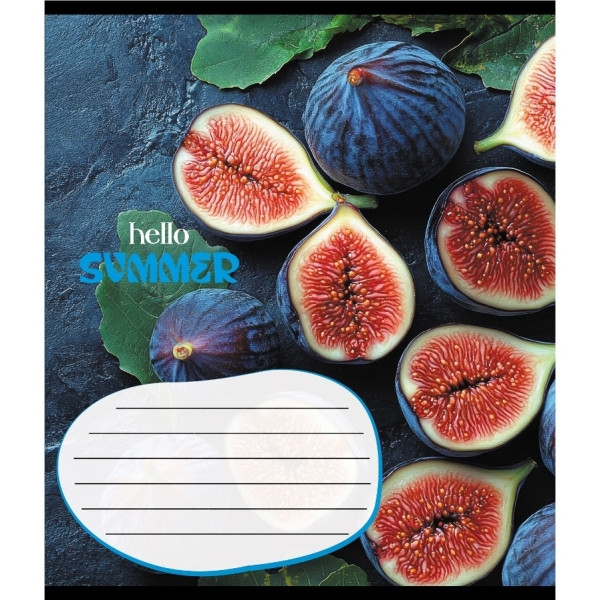 Зошит учнівський "Фруктовий сет" 018-530414K-5 в клітинку 18 аркушів