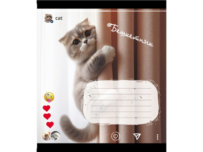 Зошит учнівський "Кішка" 024-550351K-1 в клітинку 24 аркуші Зошит учнівський "Кішка" 024-550351K-1 в клітинку 24 аркуші