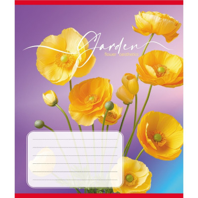 Зошит учнівський "Естетика" 024-550443K-2 в клітинку 24 аркуші