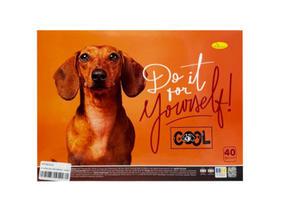 Альбом для малювання АП-0310-2 40 аркушів пружина збоку