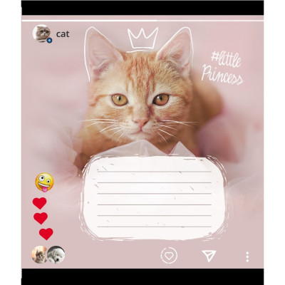 Зошит учнівський "Кішка" 024-550351K-2 в клітинку 24 аркуші