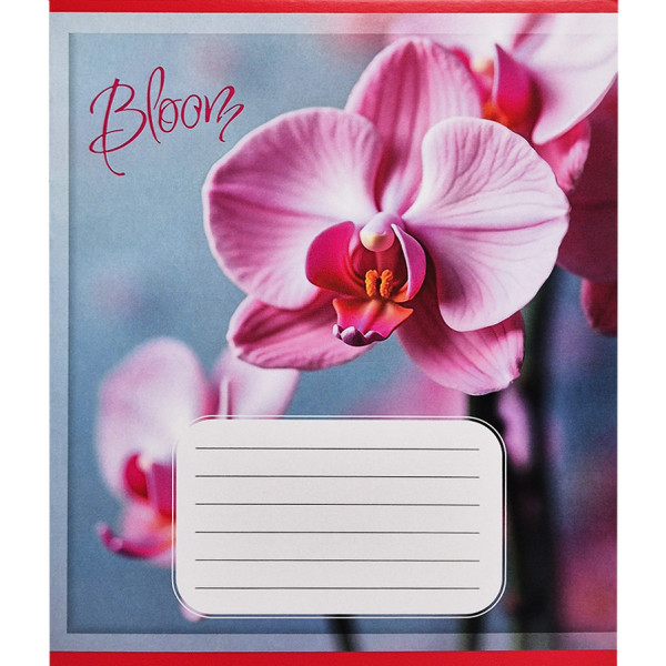 Зошит учнівський "Орхідеї" 018-530261K-1 в клітинку 18 аркушів