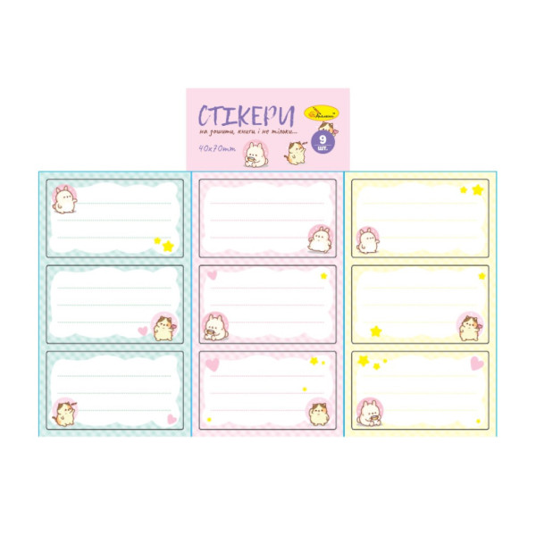 Набір стікерів для зошитів і книг НС-15-6 9 штук 70х40 мм