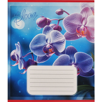 Зошит учнівський "Орхідеї" 018-530261K-3 в клітинку 18 аркушів