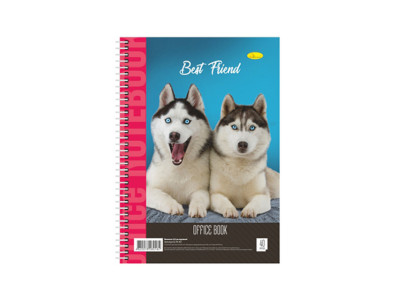 Блокнот для записів Б-Л4-40-5 40 аркушів клітина пружина збоку