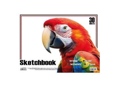 Альбом для малювання Папуга KT13022501 пружина 30 аркушів