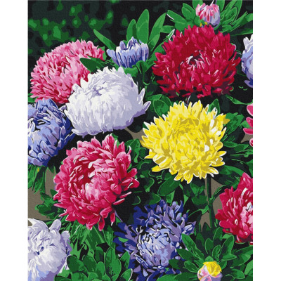 Картина за номерами "Різнобарвні айстри" BS54120 40х50 см