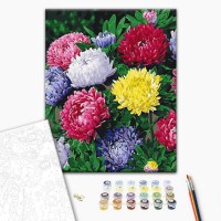 Картина за номерами "Різнобарвні айстри" BS54120 40х50 см