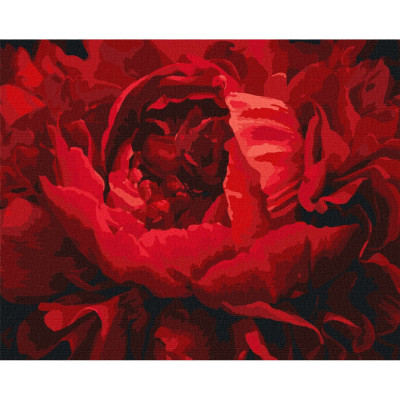 Картина за номерами "Вишукана квітка" Ідейка KHO3121 40х50 см